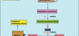 The Pathogenesis of Addiction