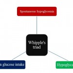 whipple